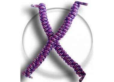 1 pair x purple & pink & white no-tie elastic spring shoelaces