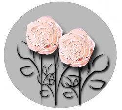 1 pair x 3D powder pink rose flower shoelaces decorations