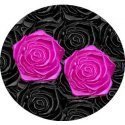 3D pink magenta rose shoelaces decorations