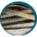 Silver & gold glitter flat shoelaces