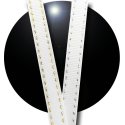 White shoelaces with silver/gold stitching